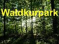 30 Waldkurpark